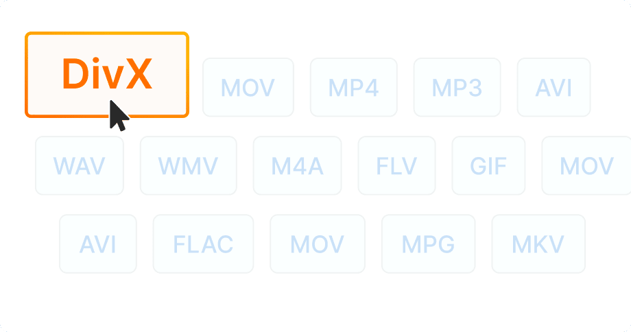Compatibilité avec appareils DivX