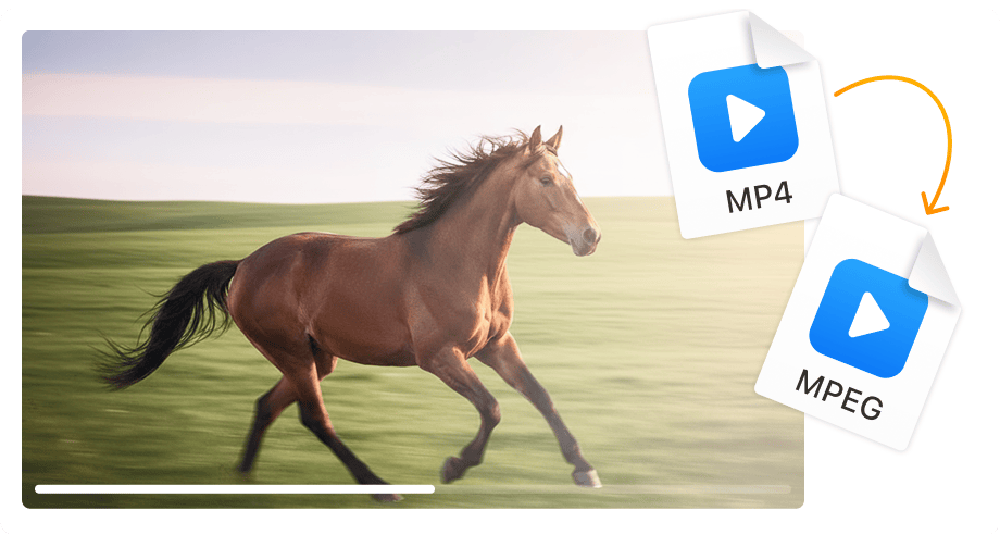 Parfait pour l'authoring DVD