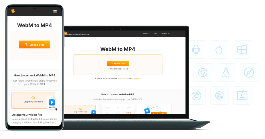 Aucune installation de logiciel